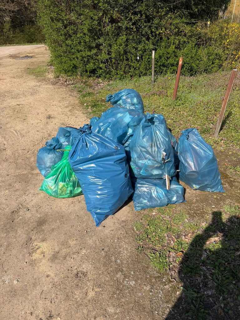 Bildergalerie img 20260321 wa0001